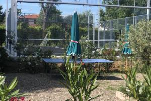 Diseño, elegancia y rendimiento: así es esta Panorámica Europa de Serena Pádel en Italia